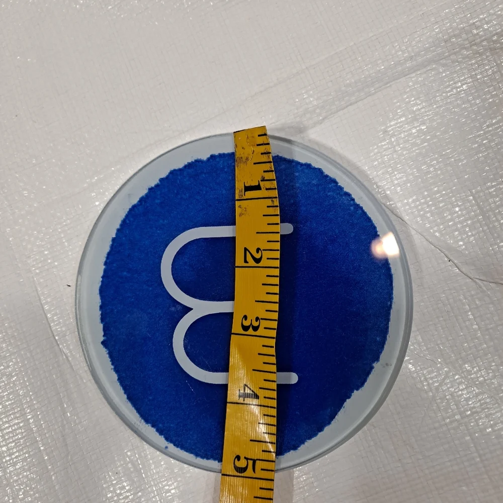 West Elm Blue Monogram B Ceramic Trinket Dish